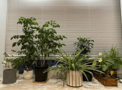 那些有毒气体对人体的危