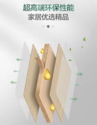 <b>本次板材十大品牌榜单</b>